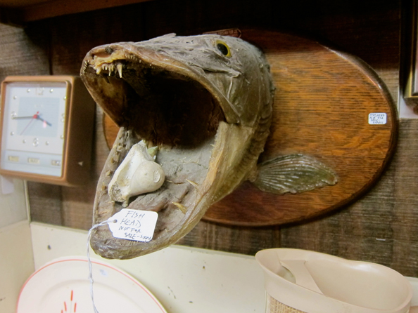 LL.fish-head