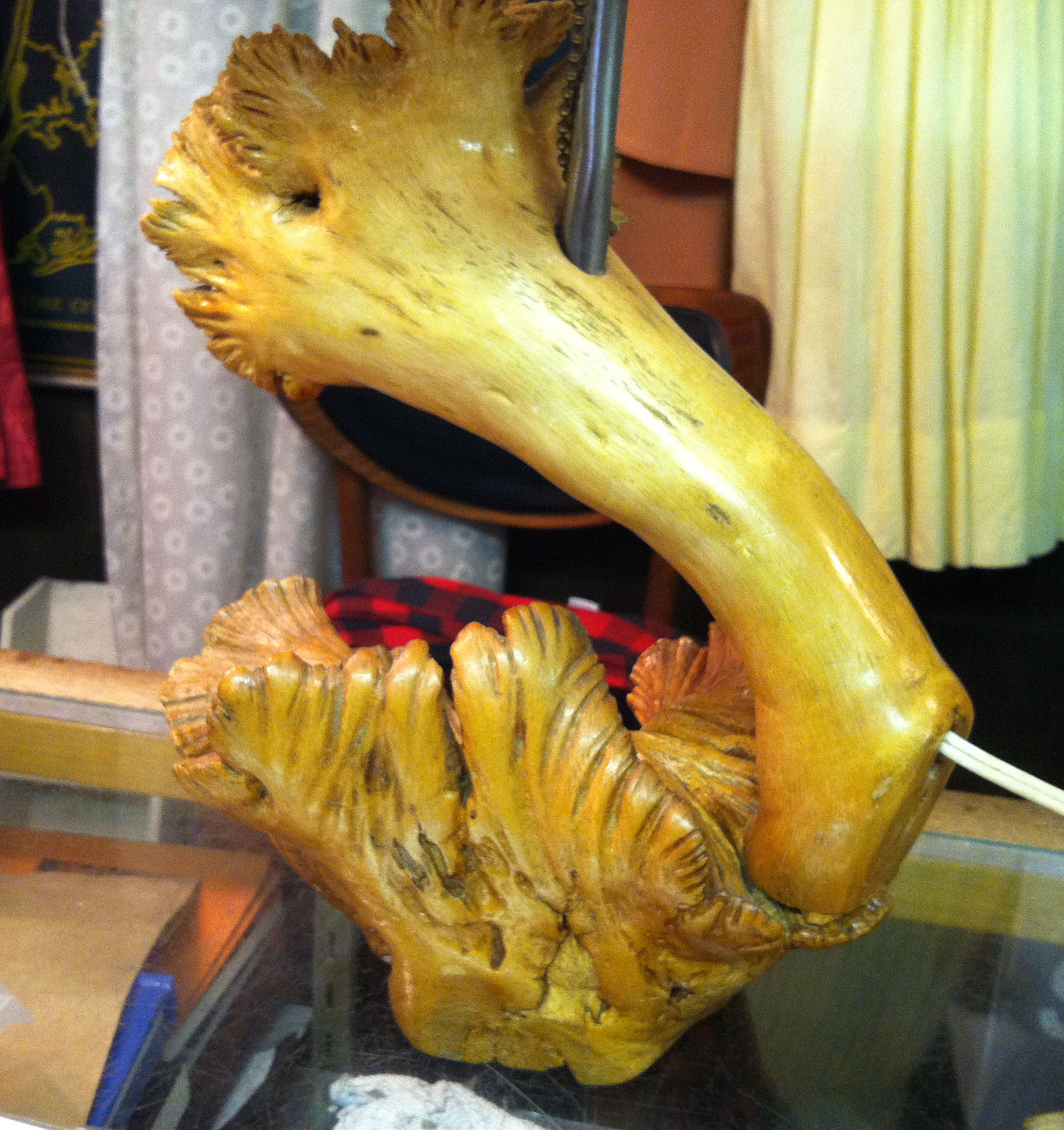 fungus lamp 2